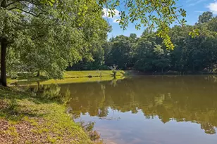 3845 Hwy 82 S, Statham, GA 30666 - Photo 41