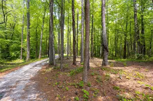 301 Benson Rd, Dallas, GA 30132 - Photo 49