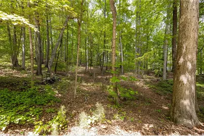 301 Benson Road, Dallas, GA 30132 - Photo 45
