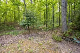 301 Benson Rd, Dallas, GA 30132 - Photo 39
