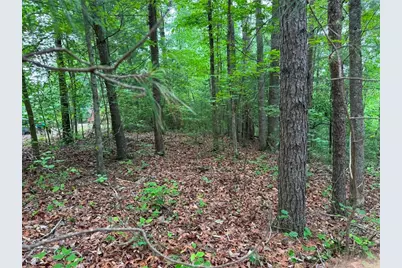1674A Hunter Drive, Ranger, GA 30734 - Photo 3