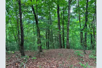 1674A Hunter Drive, Ranger, GA 30734 - Photo 1