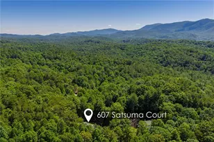 607 Satsuma Ct, Ellijay, GA 30536 - Photo 47