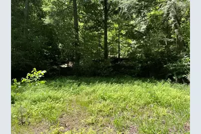 0 Sapulpa Court, Ellijay, GA 30540 - Photo 3
