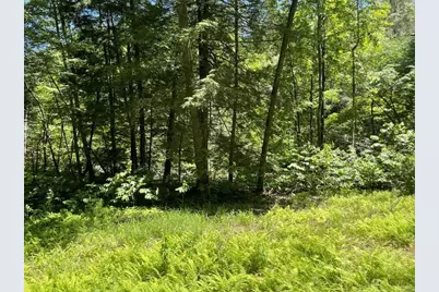 0 Sapulpa Court, Ellijay, GA 30540 - Photo 5