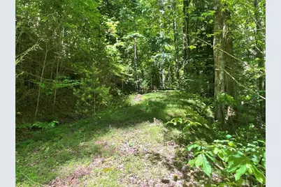 0 Sapulpa Court, Ellijay, GA 30540 - Photo 7
