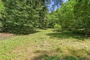 2494 Blue Ridge Dr, Blue Ridge, GA 30513 - Photo 51
