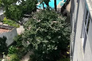 172 Haynes St SW, Atlanta, GA 30313 - Photo 23