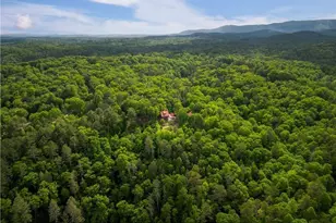 170 Wildwood Ct, Ellijay, GA 30540 - Photo 43