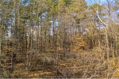 3430 Camp Branch - Lot 7 Road, Buford, GA 30519 - Photo 19