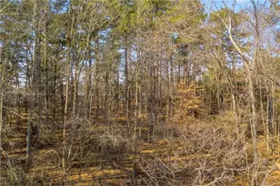 3430 Camp Branch Rd Lot 7, Buford, GA 30519 - Photo 19