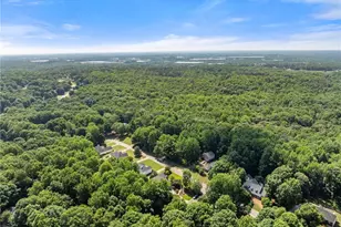 207 Nugget Trail, Braselton, GA 30517 - Photo 59