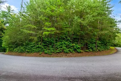 Lot 9 Laurel Creek Trail, Blue Ridge, GA 30513 - Photo 13