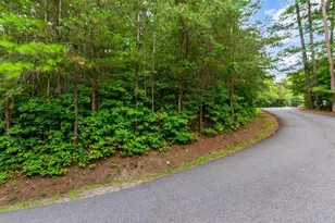 Lot 9 Laurel Creek Trail, Blue Ridge, GA 30513 - Photo 1