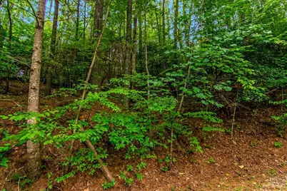 Lot 9 Laurel Creek Trail, Blue Ridge, GA 30513 - Photo 15