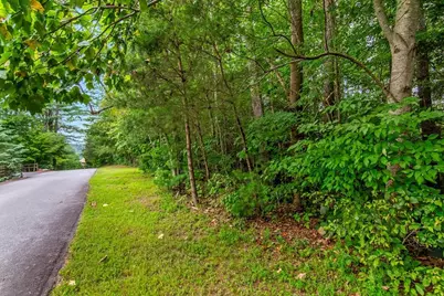 Lot 9 Laurel Creek Trail, Blue Ridge, GA 30513 - Photo 11