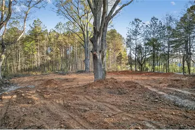 3230 Steadman Road, Tallapoosa, GA 30176 - Photo 45