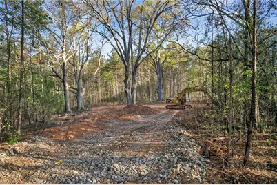 3230 Steadman Road, Tallapoosa, GA 30176 - Photo 43