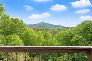 707 S Fern Cove Road S, Sautee Nacoochee, GA 30571 - Photo 43