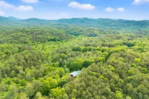 707 S Fern Cove Road S, Sautee Nacoochee, GA 30571 - Photo 49