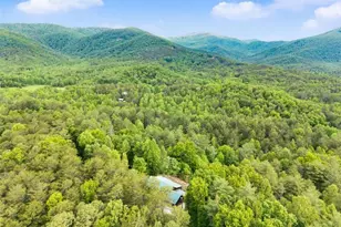 707 S Fern Cove Road S, Sautee Nacoochee, GA 30571 - Photo 47