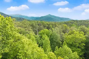 707 S Fern Cove Road S, Sautee Nacoochee, GA 30571 - Photo 55