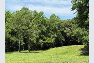 603 Wall Bridge Road, Clarkesville, GA 30523 - Photo 3