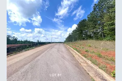 208 Oakdale Way, Temple, GA 30179 - Photo 3