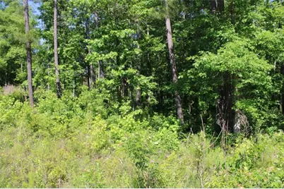 343 S Singley Drive S, Locust Grove, GA 30248 - Photo 7