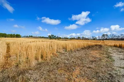 119 Inland Drive 3 Acres, Talking Rock, GA 30175 - Photo 3