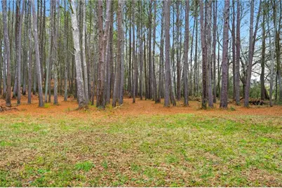 1295 Double Bridge Road, Winder, GA 30680 - Photo 53