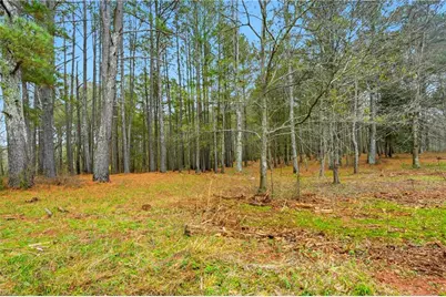 1295 Double Bridge Road, Winder, GA 30680 - Photo 47