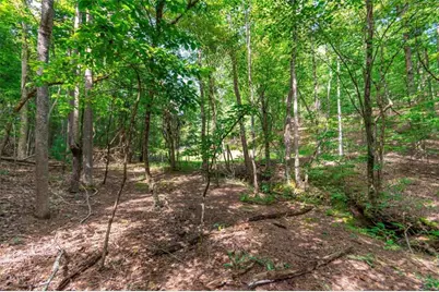 Lot 22 Meadow Brook Trail, Morganton, GA 30560 - Photo 3