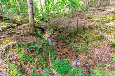 Lot 22 Meadow Brook Trail, Morganton, GA 30560 - Photo 53