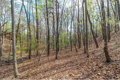 Lot 22 Meadow Brook Trail, Morganton, GA 30560 - Photo 41