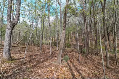 Lot 22 Meadow Brook Trail, Morganton, GA 30560 - Photo 47