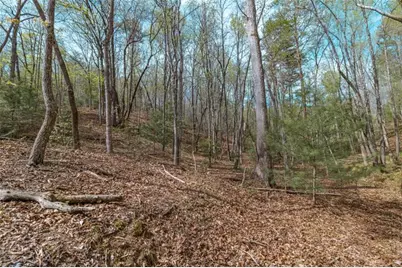 Lot 22 Meadow Brook Trail, Morganton, GA 30560 - Photo 51