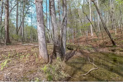 Lot 22 Meadow Brook Trail, Morganton, GA 30560 - Photo 49