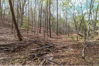 Lot 22 Meadow Brook Trail, Morganton, GA 30560 - Photo 39