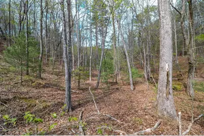 Lot 22 Meadow Brook Trail, Morganton, GA 30560 - Photo 37