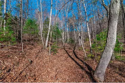 Lot 22 Meadow Brook Trail, Morganton, GA 30560 - Photo 19