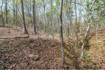 Lot 22 Meadow Brook Trail, Morganton, GA 30560 - Photo 35