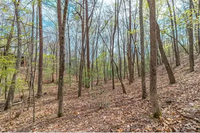 Lot 22 Meadow Brook Trail, Morganton, GA 30560 - Photo 45