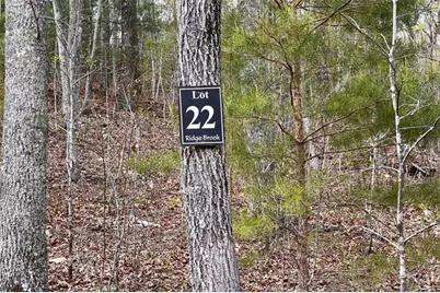 Lot 22 Meadow Brook Trail, Morganton, GA 30560 - Photo 65