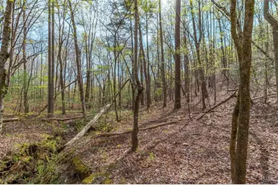 Lot 22 Meadow Brook Trail, Morganton, GA 30560 - Photo 43