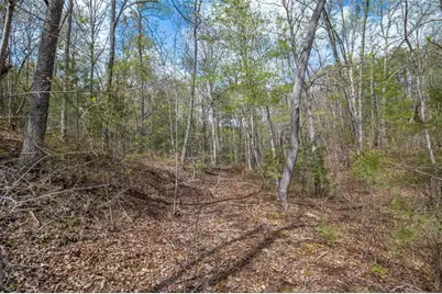 Lot 22 Meadow Brook Trail, Morganton, GA 30560 - Photo 33