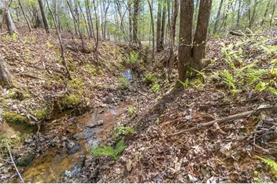 Lot 22 Meadow Brook Trail, Morganton, GA 30560 - Photo 25