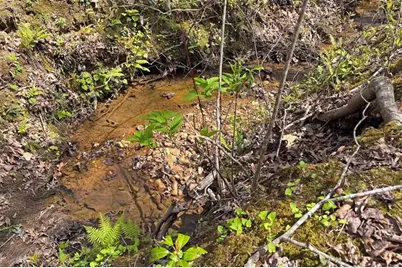 Lot 22 Meadow Brook Trail, Morganton, GA 30560 - Photo 29