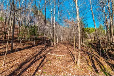 Lot 22 Meadow Brook Trail, Morganton, GA 30560 - Photo 13