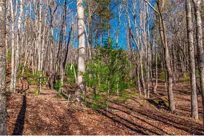 Lot 22 Meadow Brook Trail, Morganton, GA 30560 - Photo 7
